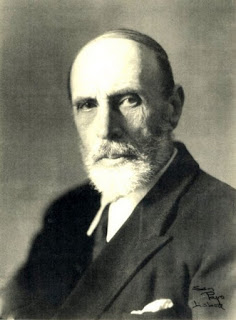 manuel alegre