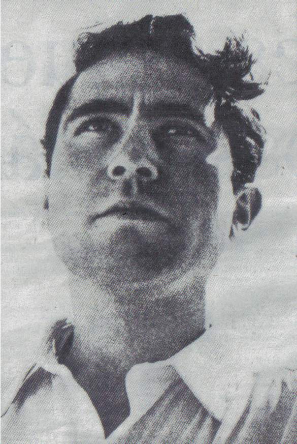 manuel alegre