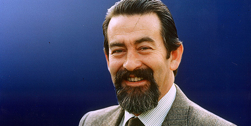 manuel alegre