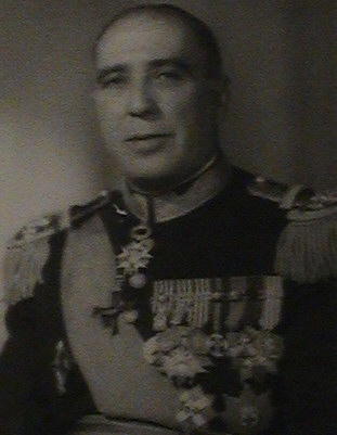 manuel alegre