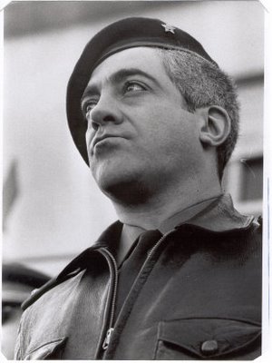 manuel alegre