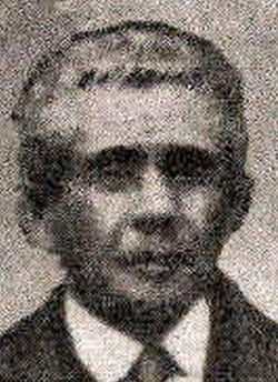 manuel alegre