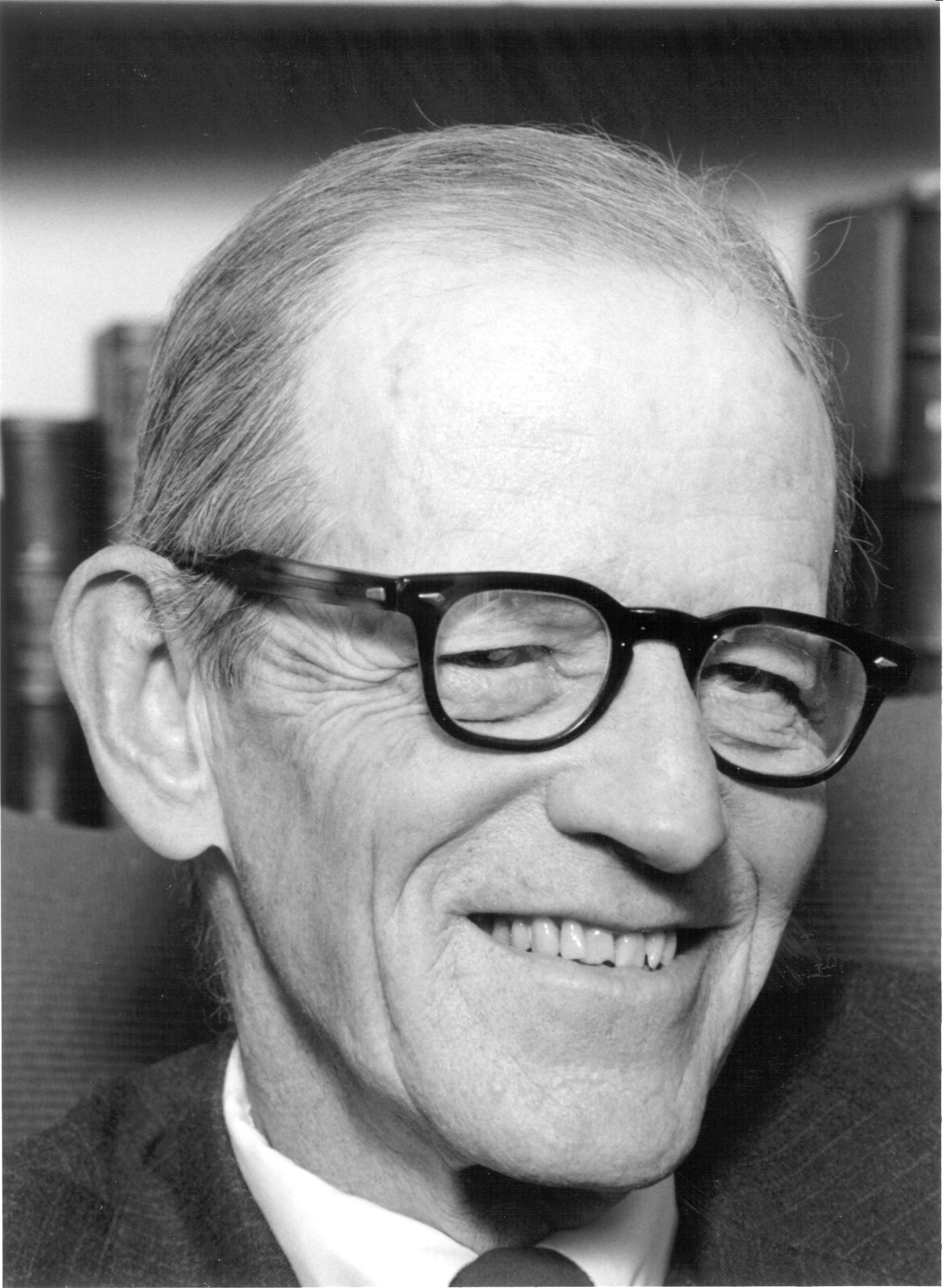 manuel alegre