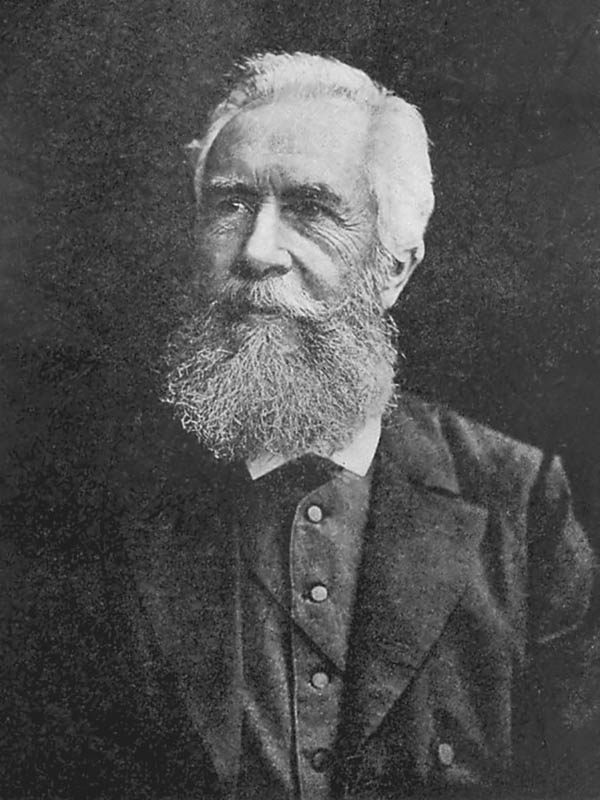 manuel alegre