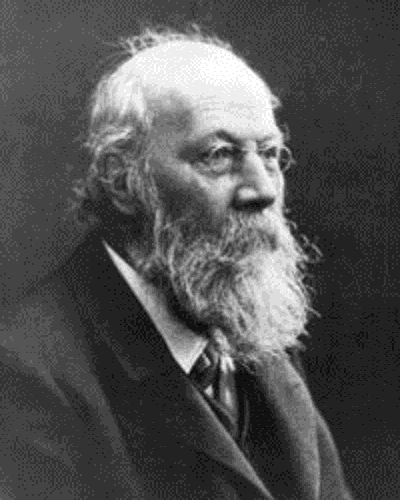 manuel alegre