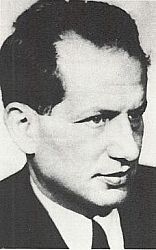 manuel alegre