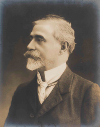 manuel alegre