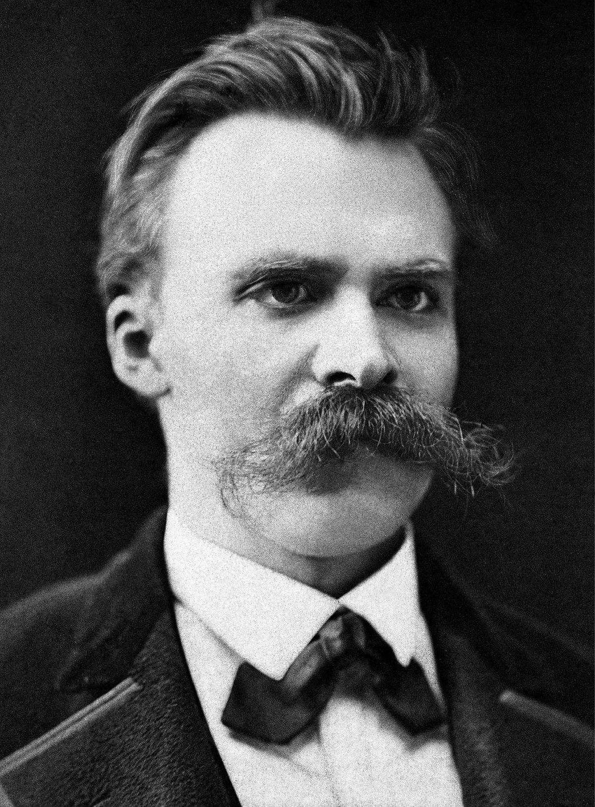 manuel alegre